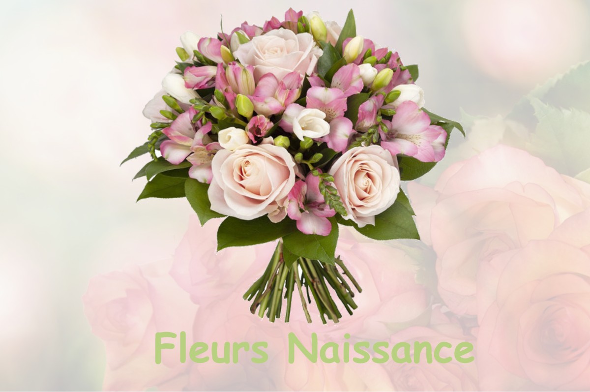 fleurs naissance NISSAN-LEZ-ENSERUNE